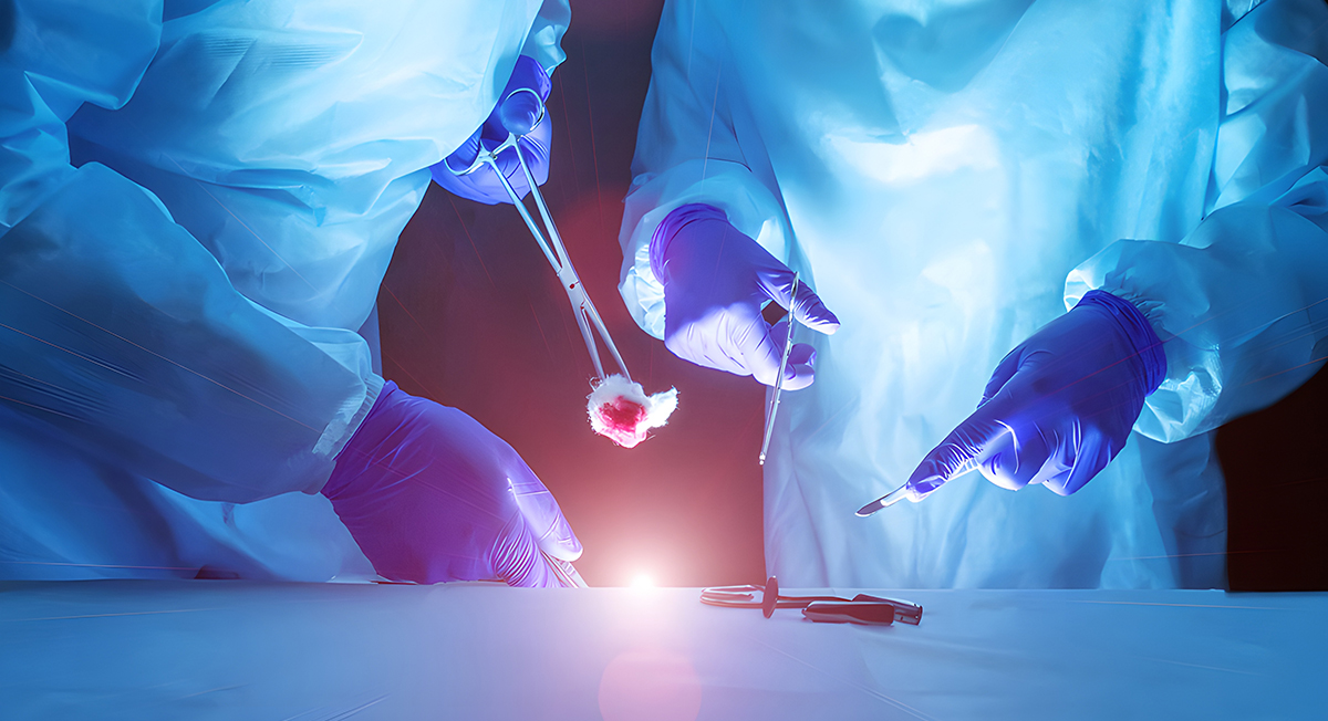 مقال عن الهضم